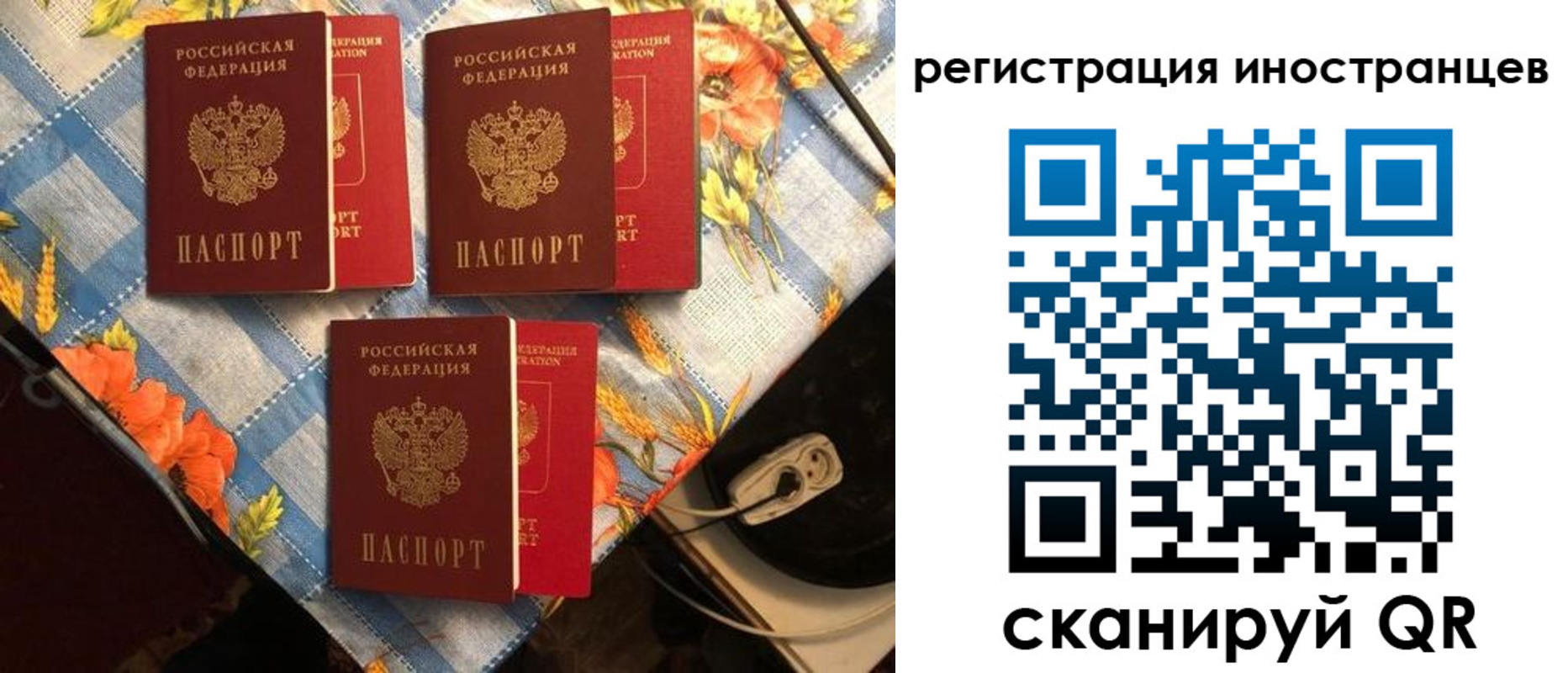 прописка поиск в Охе